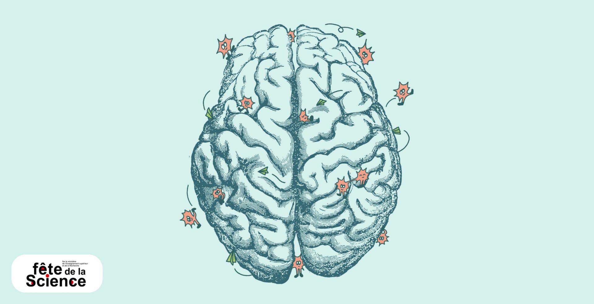 Illustration du cerveau en action