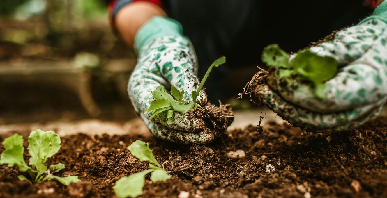 La Fête de la nature : grande après-midi festive