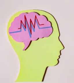 Cerveau biais cognitifs